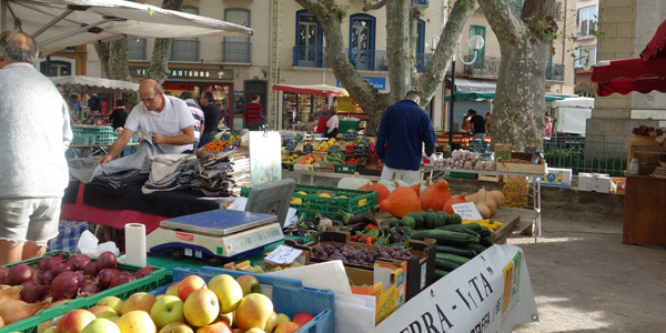 Local markets & produce